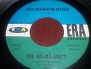 GARAGE / PSYCH  RARE   THE NO-NA-MEE'S     ERA  LABEL   45   LISTEN