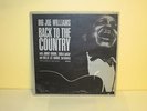 BIG JOE WILLIAMS - Back To The Country   TESTAMENT 2205 {dg orig} - VERY RARE