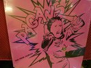 PAGANS THE PINK ALBUM TR006 WITH INSERT MINT HUSKER DU MINUTEMEN