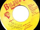 BUJU B DIGI KILLER 45 KING KONG HERE I AM ?