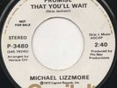 Michael Lizzmore Promise That You'll Wait / Try A Little  Sweet Soul  Listen