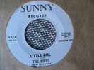 RARE DOO WOP 45 rpm THE RIFFS on SUNNY lb WL PROMO 1964 LITTLE GIRL Nice HEAR