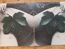 EAST OF EDEN / A NEW LEAF 1971 UK LP HARVEST SHVL796 A3/B3 GATEFOLD SLEEVE RARE