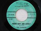 GIRL GROUP 45 The Clickettes - Warm Soft and Lovely   Dice Records HEAR IT