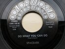 SPACEARK Do What You Can Do COLOR WORLD Northern Soul Record/Vinyl/45 RARE