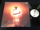 FYA Dezarie   RARE 2004 conscious REGGAE roots LP on I GRADE LABEL