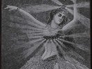 Neutral Milk Hotel Box set - LP 7