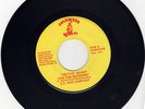 Z.Z. AND COMPANY - GETTIN READY FOR THE GETDOWN (Brill Modern Dancer)