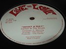 Carlton & The Shoes What A Day Rare Killer Roots 12