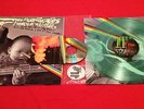 THE FLAMING LIPS Dark Side Of The Moon LP +CD Seafoam green vinyl RSD Pink Floyd