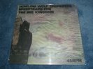 Guided By Voices - Howling Wolf Orchestra  (Robert Pollard) M-/M)