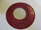 ARGIE AND ARKETTS You're the Guy 45 RONNIE soul VG