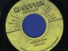 DEVON IRONS-WHEN JAH COME-JAH DUB-UPSETTER RECORD - REGGAE 45 7