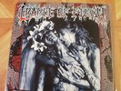 Cradle Of Filth - Principle Of Evil Made Flesh Album Blue vinyl
