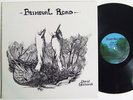 DAVID CHALMERS Primeval Road LP on River Private Rock Psych M-