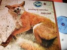 FURRY LEWIS : PRESENTING THE COUNTRY BLUES LP 1968 BLUE HORIZON 63228 NL