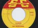PRIVATE 1965 Surf 45 - THE MARAUDERS 