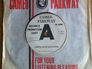 Terry Knight & The Pack - I(Who Have Nothing) –Cameo Parkway demo– Garage B side
