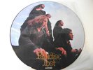 Paradise Lost - Gothic - Limited PICTURE Vinyl LP, Super Zustand