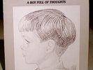 BERNDT EGERBLADH TRIO A BOY FULL OF THOUGHTS PRIVATE JAZZ LP