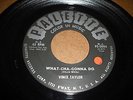 LISTEN - POPCORN ROCK - VINCE TAYLOR - WHAT-CHA-GONNA DO - MOVE OVER TIGER