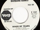 Rare Barbara Banks Northern Soul 45 River Of Tears MINT 1966 Veep WLP Promo