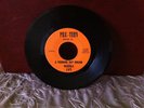 Super Rare Teen doo wop private press Beverle And The J-G's 45 7