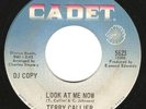 Northern Soul 45 TERRY CALLIER 
