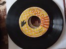 DON TAYLOR - FEEL THE VIBRATION - SOLID GOLD