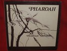 PHAROAH SANDERS Pharoah RARE ORIGINAL 1977 India Navigation LP IN 1027 FREE JAZZ
