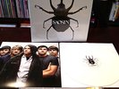 SAOSIN - SAOSIN White Colored Vinyl LP Numbered #2 /250 SRC Sub Self Titled S/T