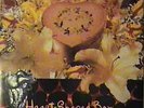 NIRVANA Heart Shaped Box (M) 1993 PROMO 12
