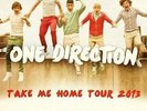 Concert ONE DIRECTION Paris Bercy 29 Avril - Catégorie 1 - ORCHESTRE Z - Rang 23