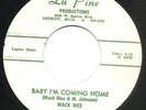 Mack Rice - Baby I'm Coming Home - Lu Pine - Northern Soul / Mod Dancer