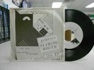 GENESIS: Flaming Youth, Special Live ep, PIC SLEEVE, OOP 45