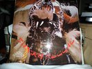 Various – Funky Reggae - Vinyl LP - Bamboo Records - BDLP 206 - Near Mint