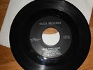 FENDERMEN - CUCA RECORDS - 45 - MULE SKINNER  BLUES  /  JANICE - RARE