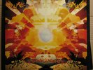 UK PSYCH ROCK HAPSHASH & THE COLOURED COAT .. the human host Orig. Minit Liberty