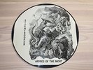 STORMTROOPER PICTURE LP - ARMIES OF THE NIGHT / PRIVATE US METAL IN VG - TOP RAR