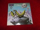 PRAYING MANTIS--TIME TELLS NO LIES