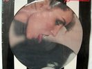 seltene Picture Disc: Blondie - Parallel Lines 