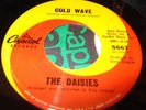 Daisies- Cold Wave- Capitol hear