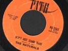 NORTHERN SOUL THE NATURALS ON PATH DON'T JUST STAND THERE / MAKE IT MOVE LISTEN