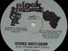 RARE 1986 DIGITAL ROOTS DANCEHALL - BLACK CULTURE - WICKED BABYLONIAN Sound Clip