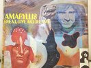 BREAD LOVE DREAMS AMARYLLIS 1971 UK PROG FOLK PSYCH LP ORIGINAL DECCA, RARE