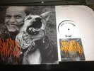 Cold World Dedicated to Babies TEST PRESS 12 LP Floorpunch Paint It Black sxe