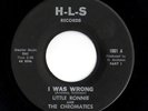 Deep Soul Ballad 45 LITTLE RONNIE & CHROMATICS I Was Wrong H-L-S Harold Andrews