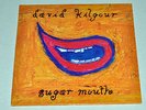DAVID KILGOUR Sugar Mouth LP NZ NMint VINYL flying nun the bats the clean