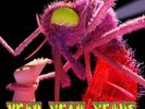 Yeah Yeah Yeahs Mosquito Vinyl LP + Fully Signed Lithograph £54.99