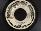 GARAGE PROG PSYCH 45 TRIPSICHORD MUSIC BOX TIMES AND SEASONS SAN FRANCISCO DJ